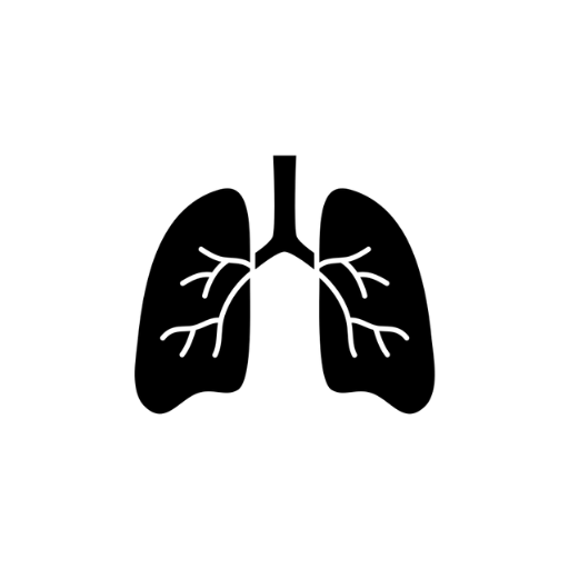 Paru Icon - Rumah Sakit DR Indrajana